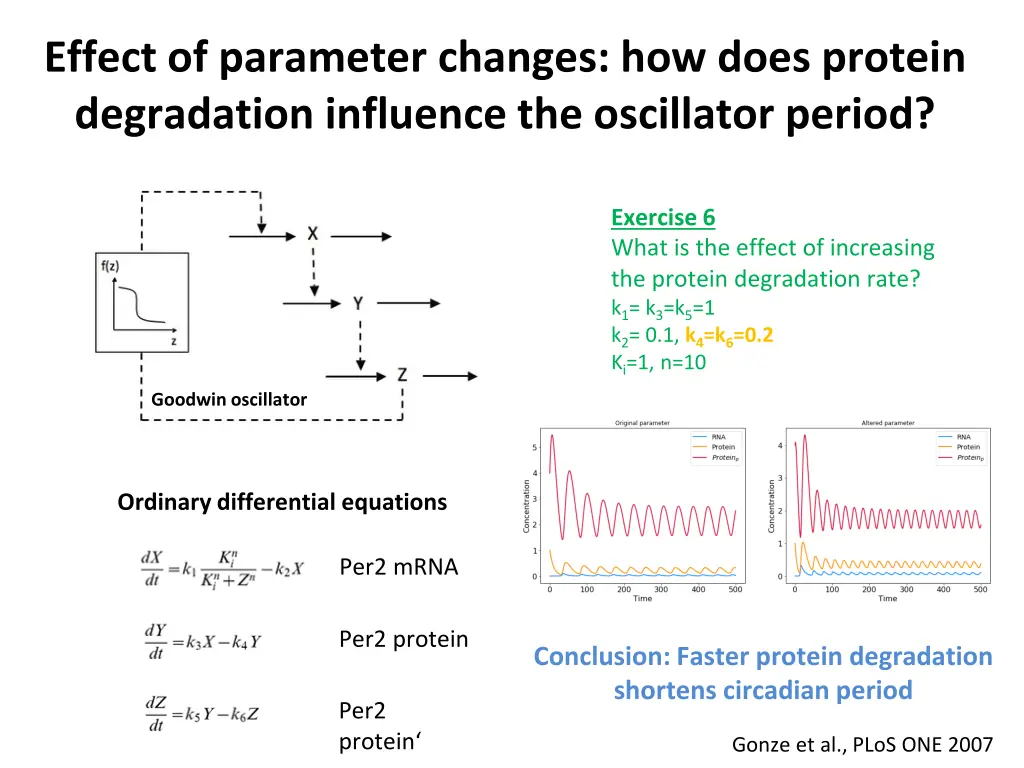 effect of parameter changes how does protein