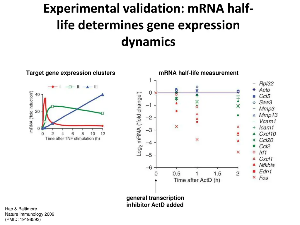 experimental validation mrna half life determines