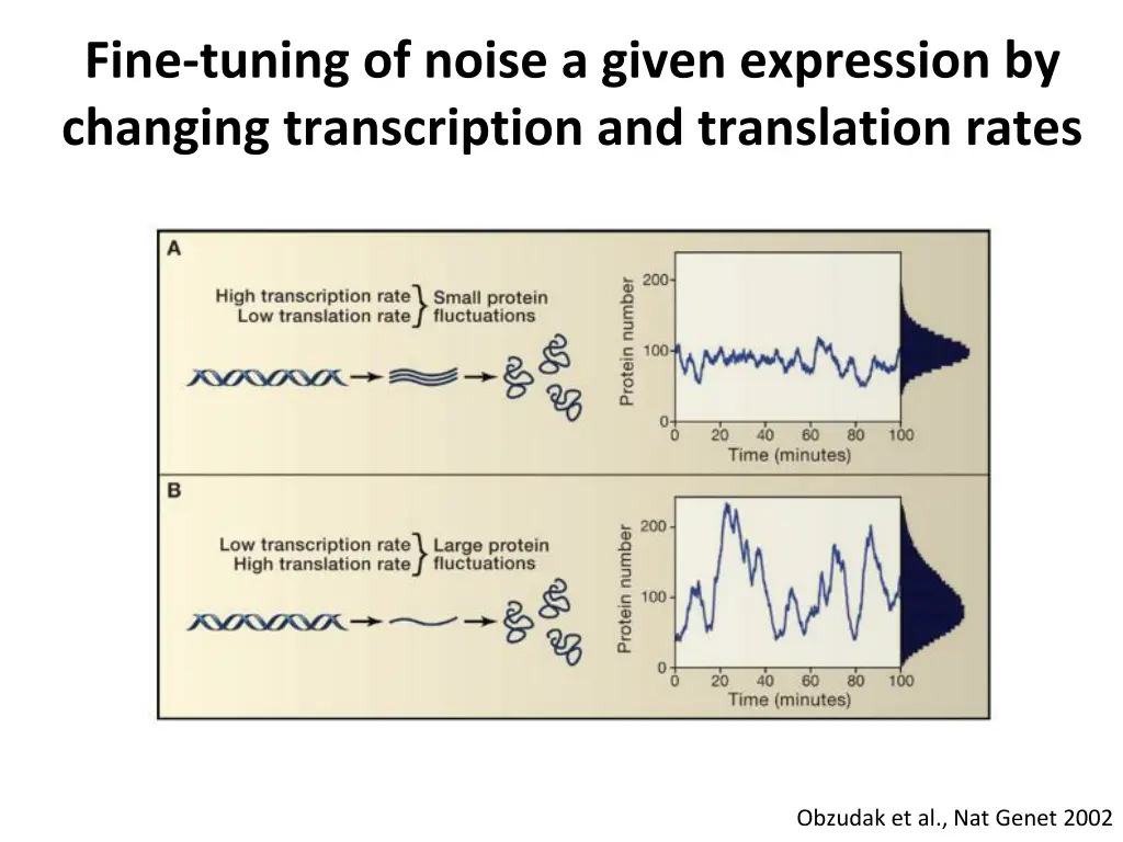 fine tuning of noise a given expression
