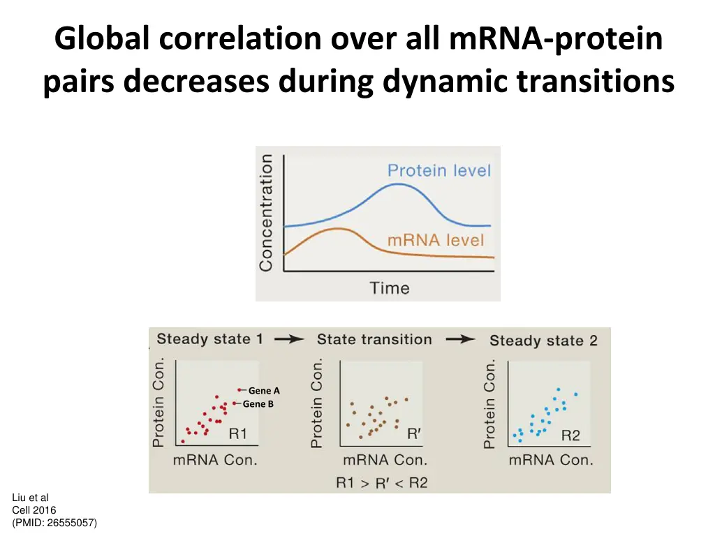 global correlation over all mrna protein pairs