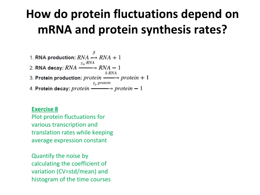 how do protein fluctuations depend on mrna