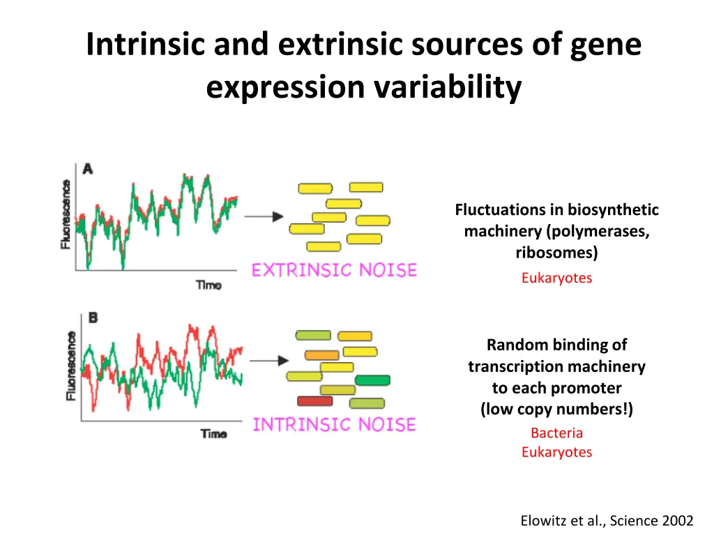 intrinsic and extrinsic sources of gene