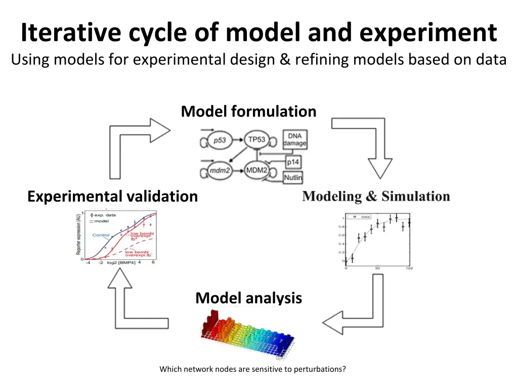 iterative cycle of model and experiment using