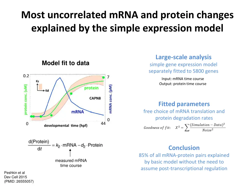 most uncorrelated mrna and protein changes