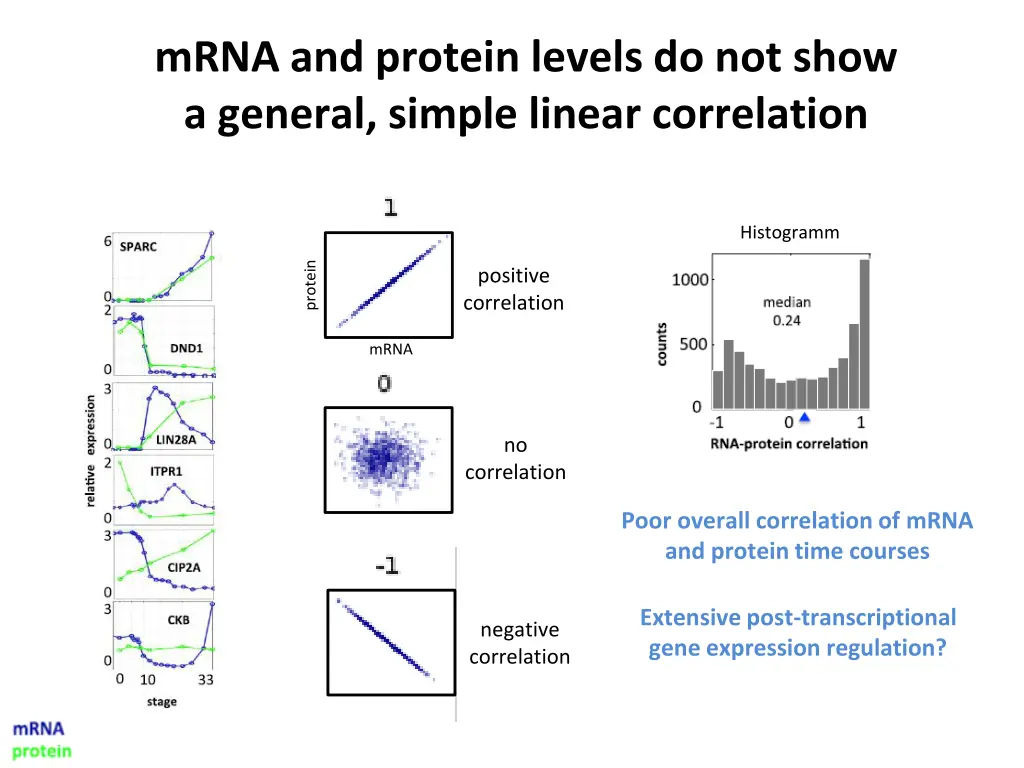 mrna and protein levels do not show a general