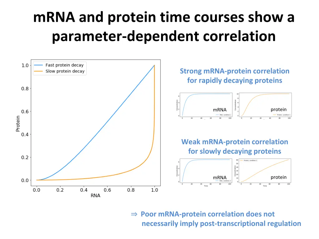 mrna and protein time courses show a parameter