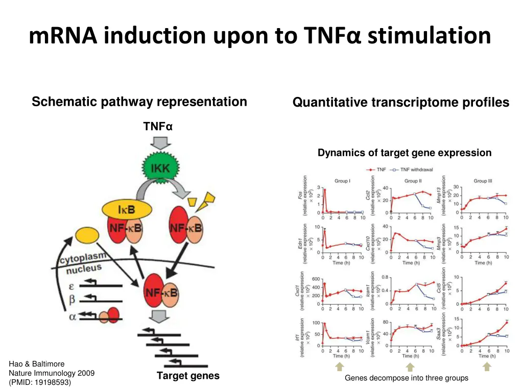 mrna induction upon to tnf stimulation 1