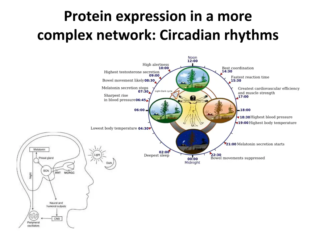 protein expression in a more complex network