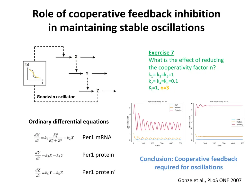 role of cooperative feedback inhibition