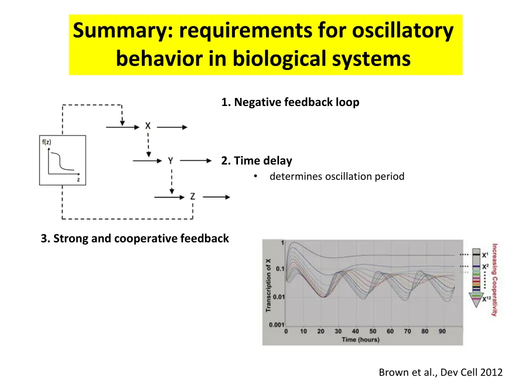 summary requirements for oscillatory behavior