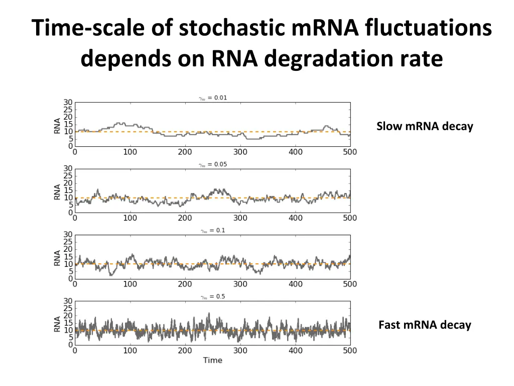 time scale of stochastic mrna fluctuations