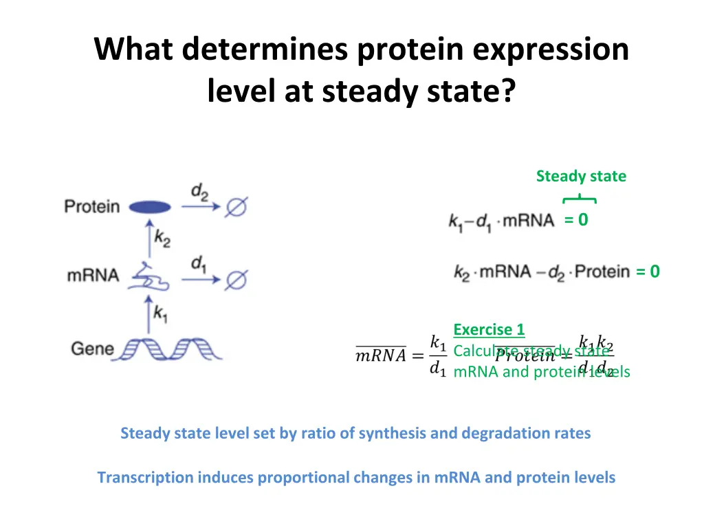 what determines protein expression level