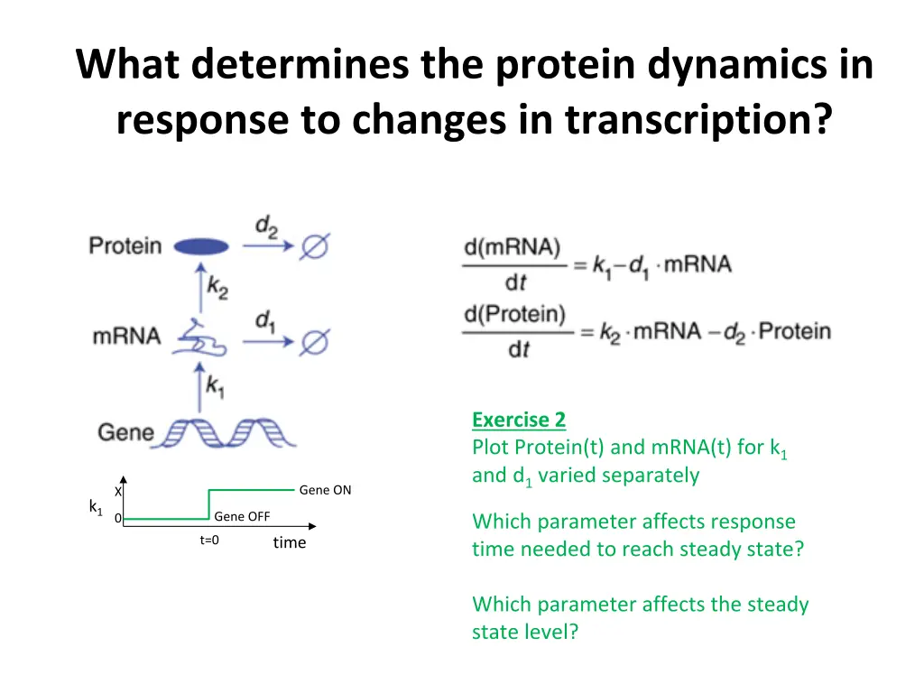 what determines the protein dynamics in response 1