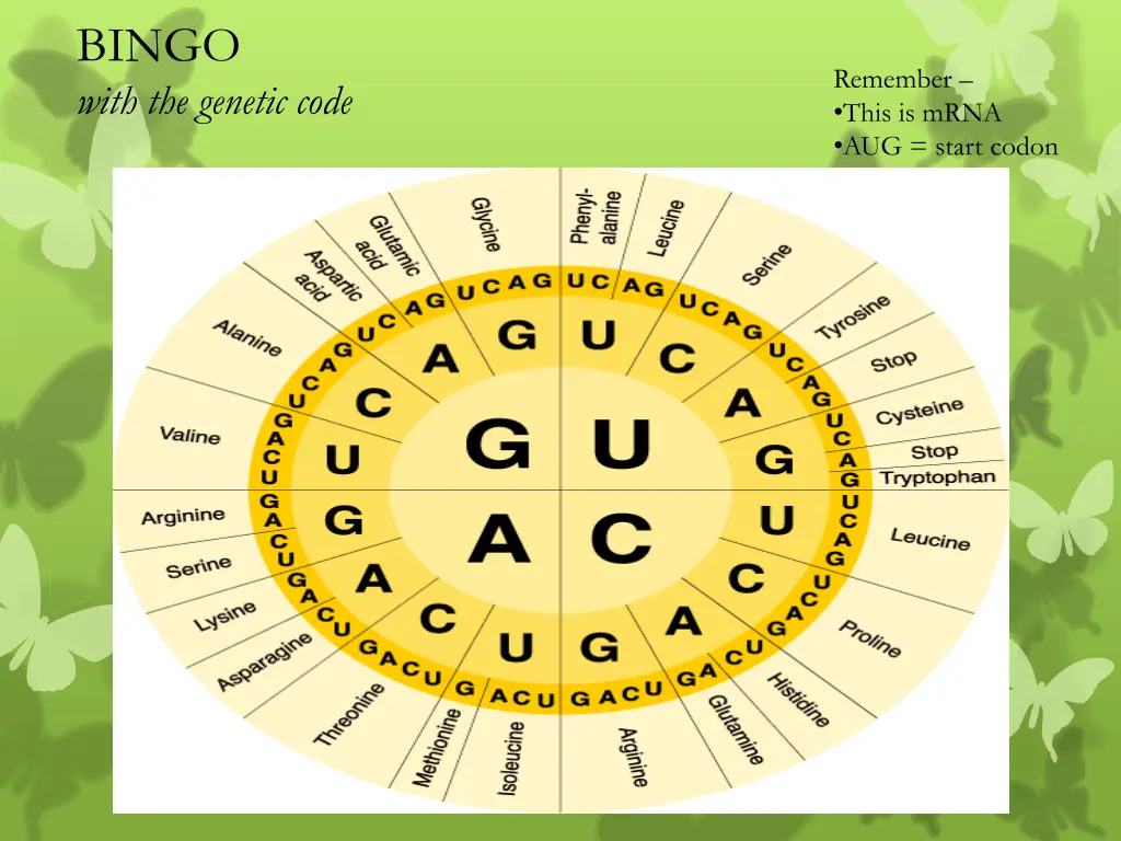 bingo with the genetic code
