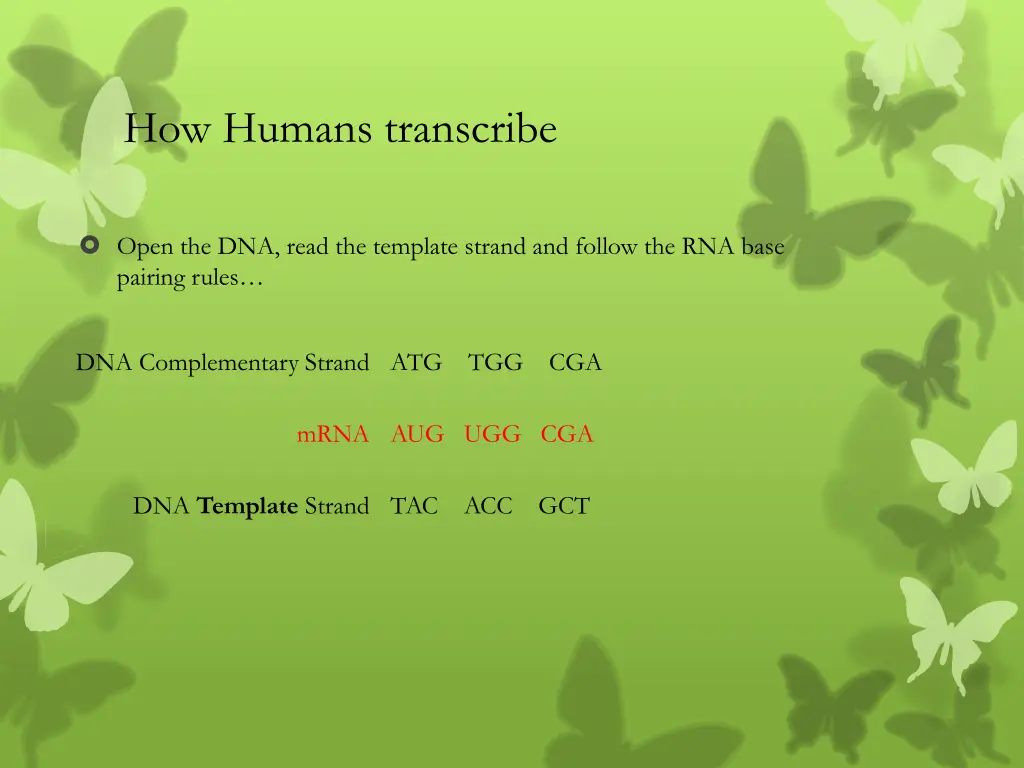how humans transcribe