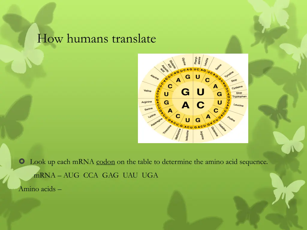 how humans translate
