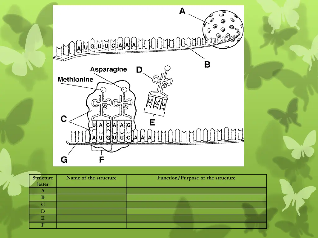 structure letter a b c d e f