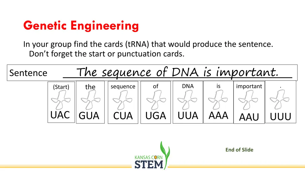genetic engineering 1