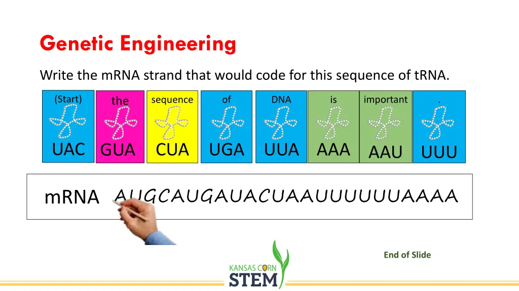 genetic engineering 2