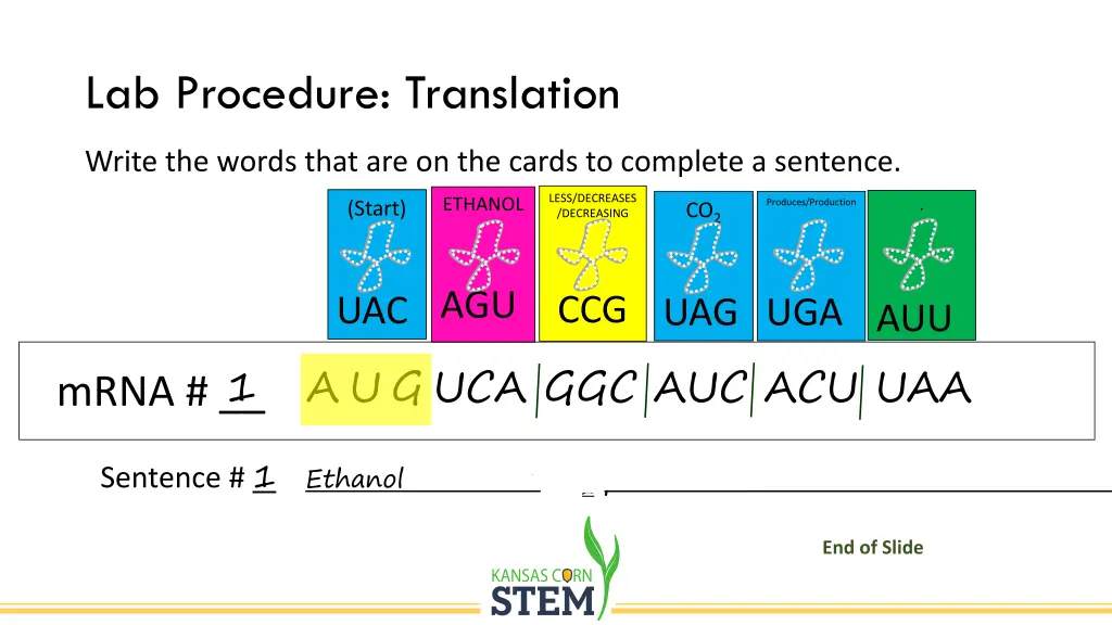 lab procedure translation 5