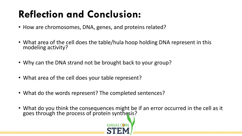 reflection and conclusion