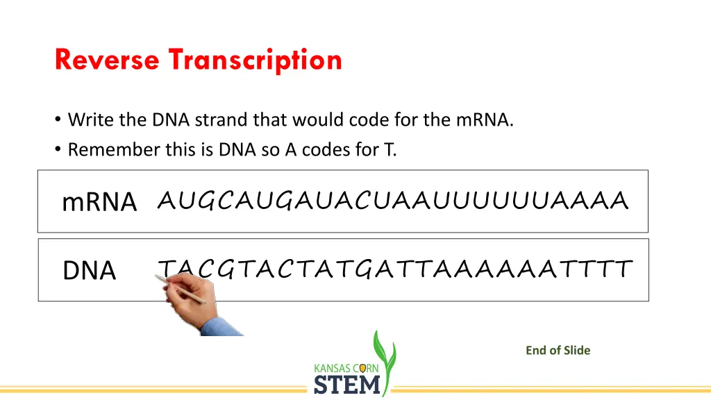 reverse transcription