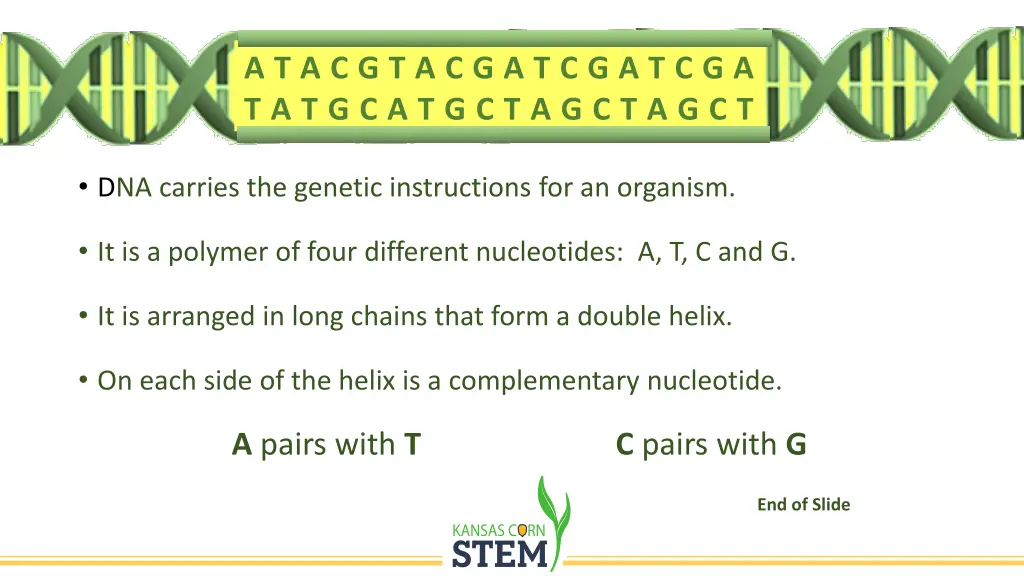 slide13