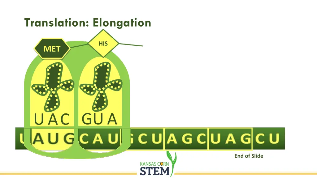slide20