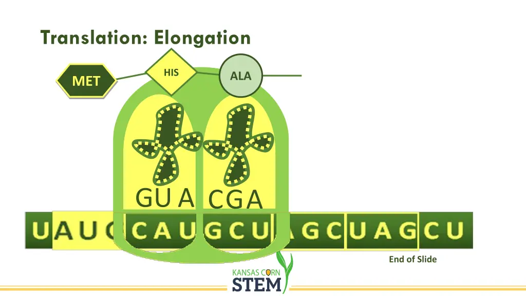 slide21