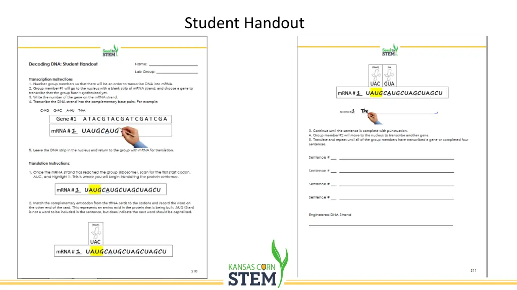 student handout