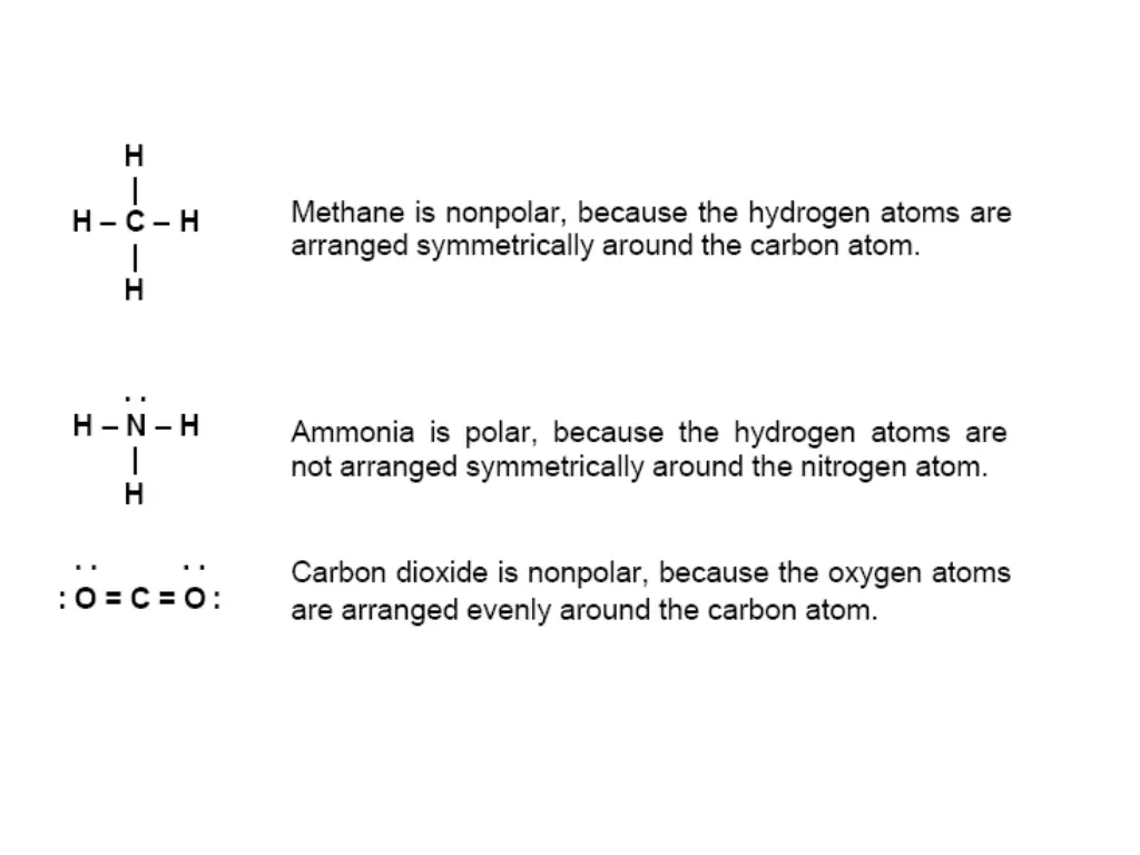 slide24