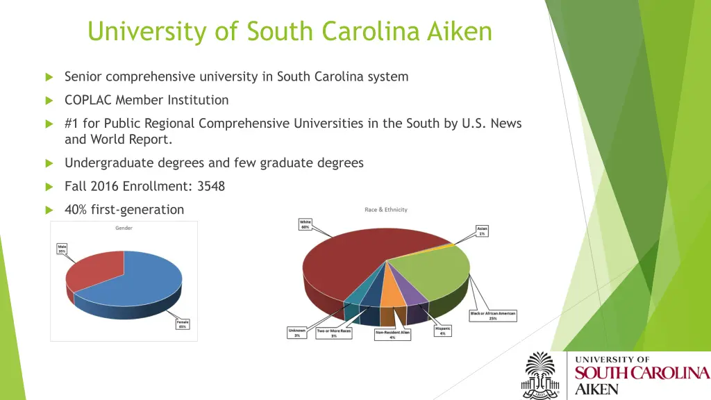 university of south carolina aiken
