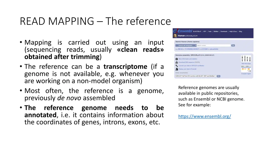 read mapping the reference