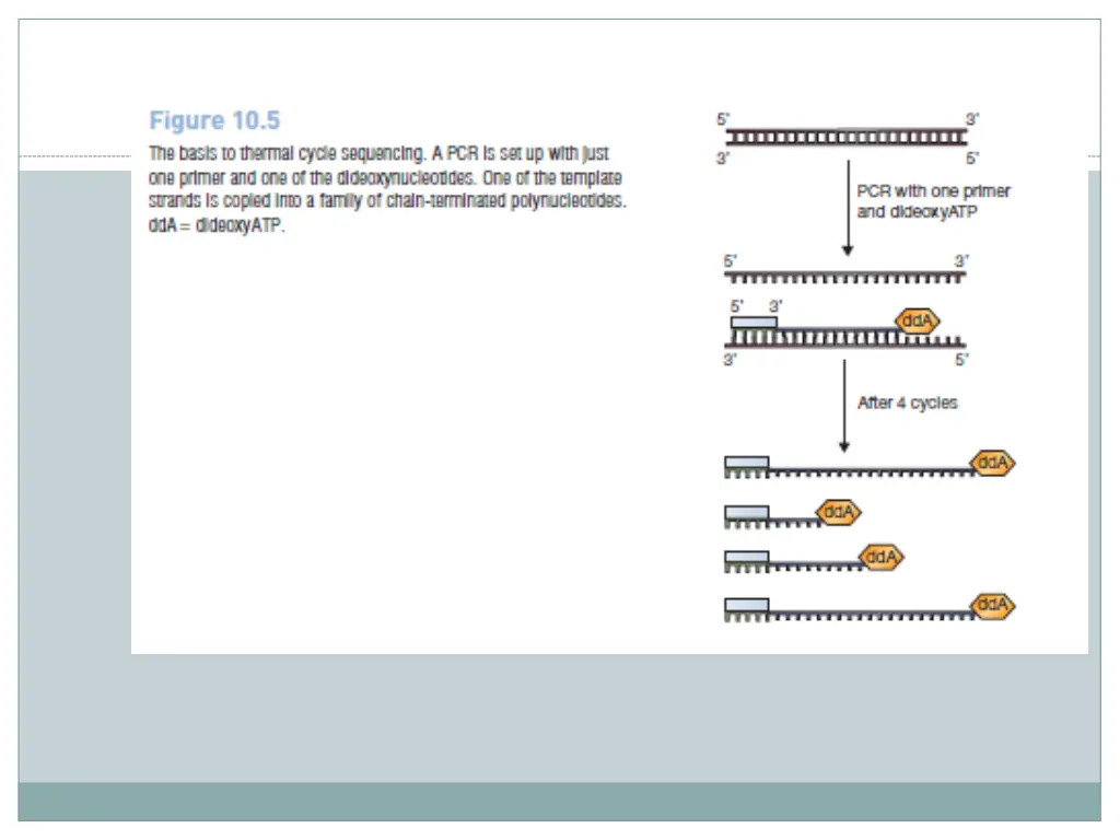 slide12