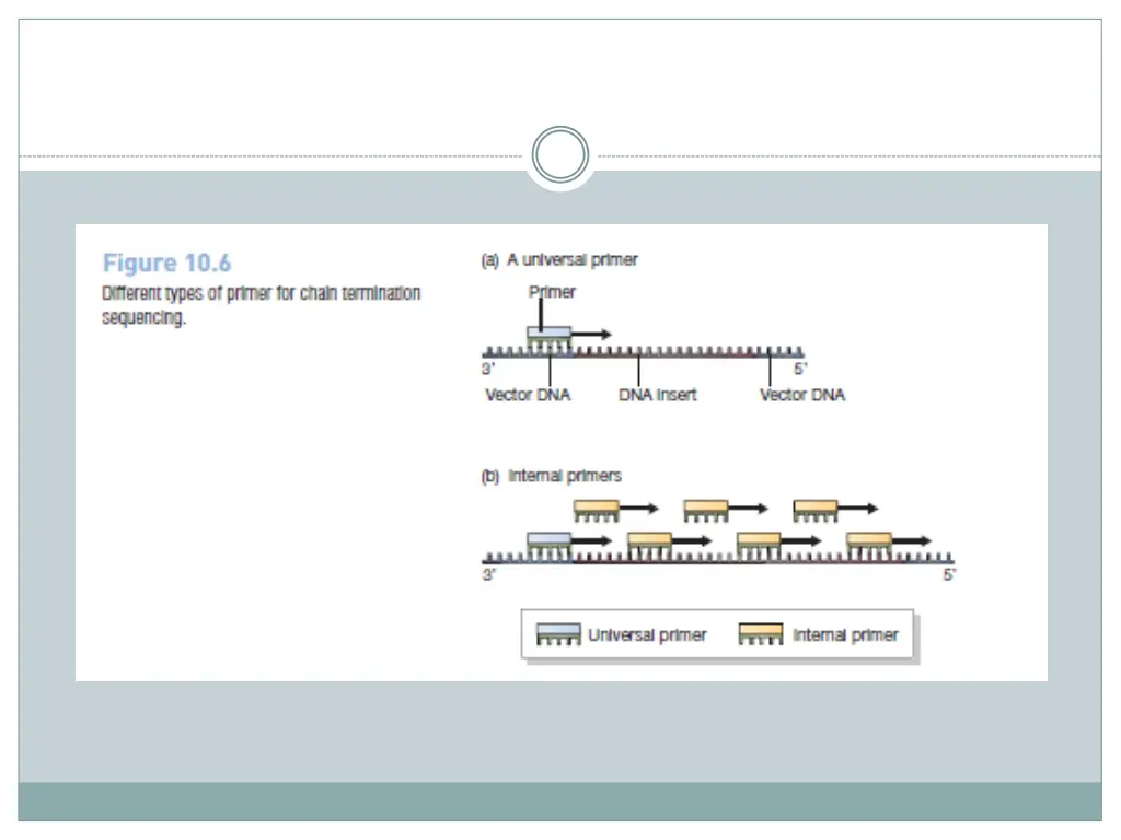 slide13