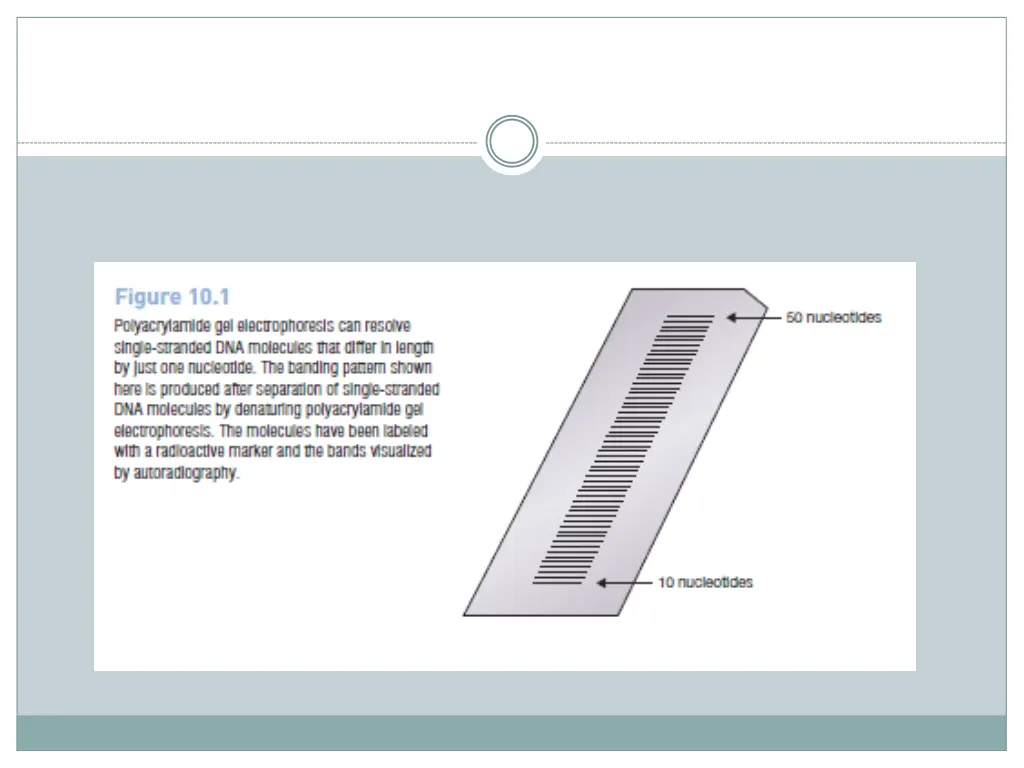 slide3