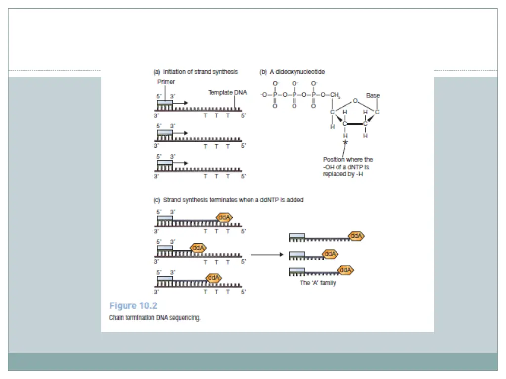 slide6