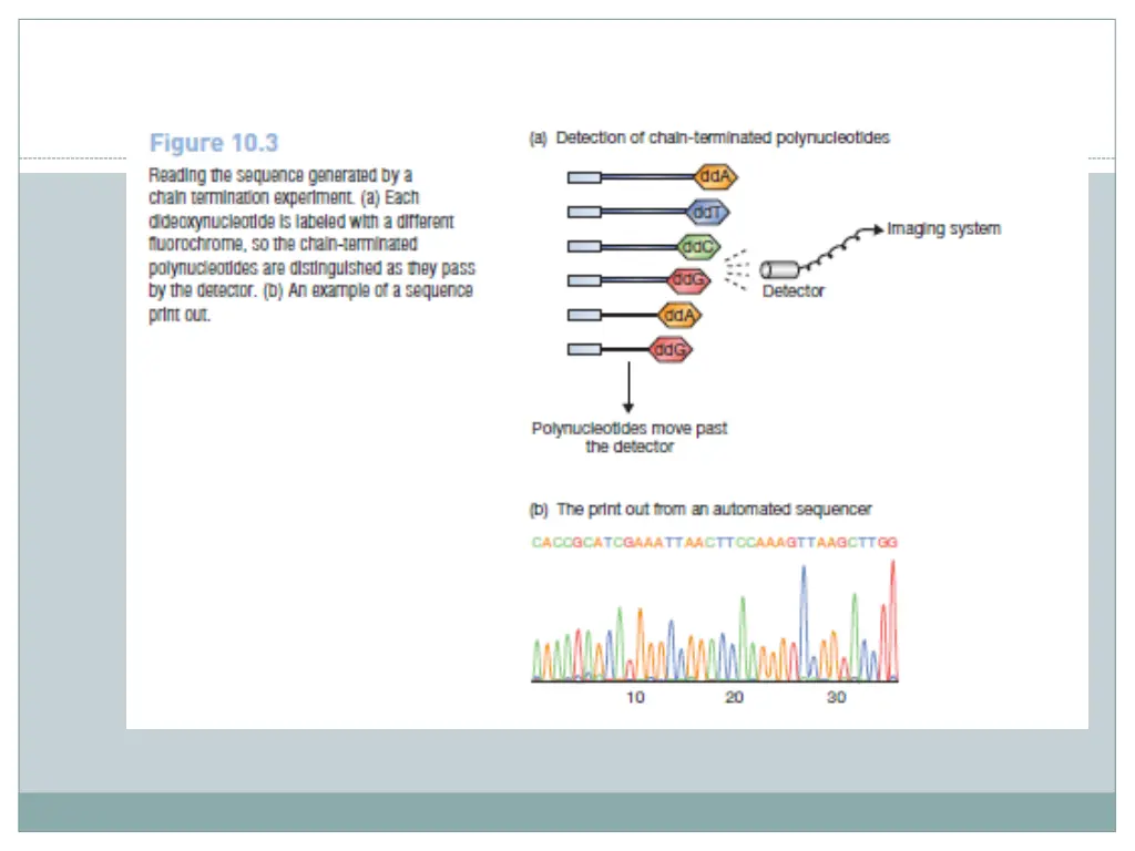slide8