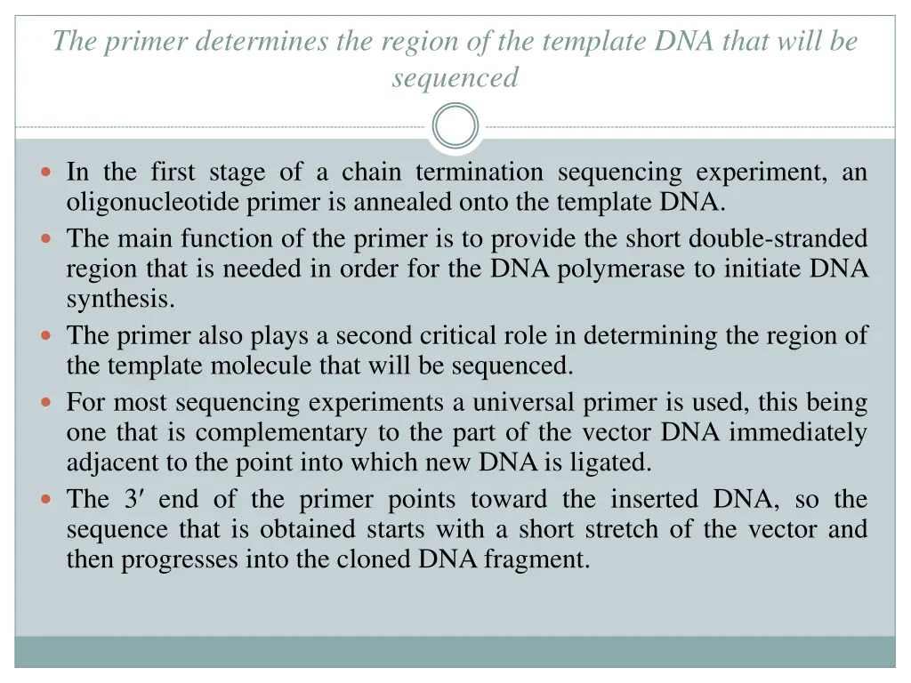 the primer determines the region of the template