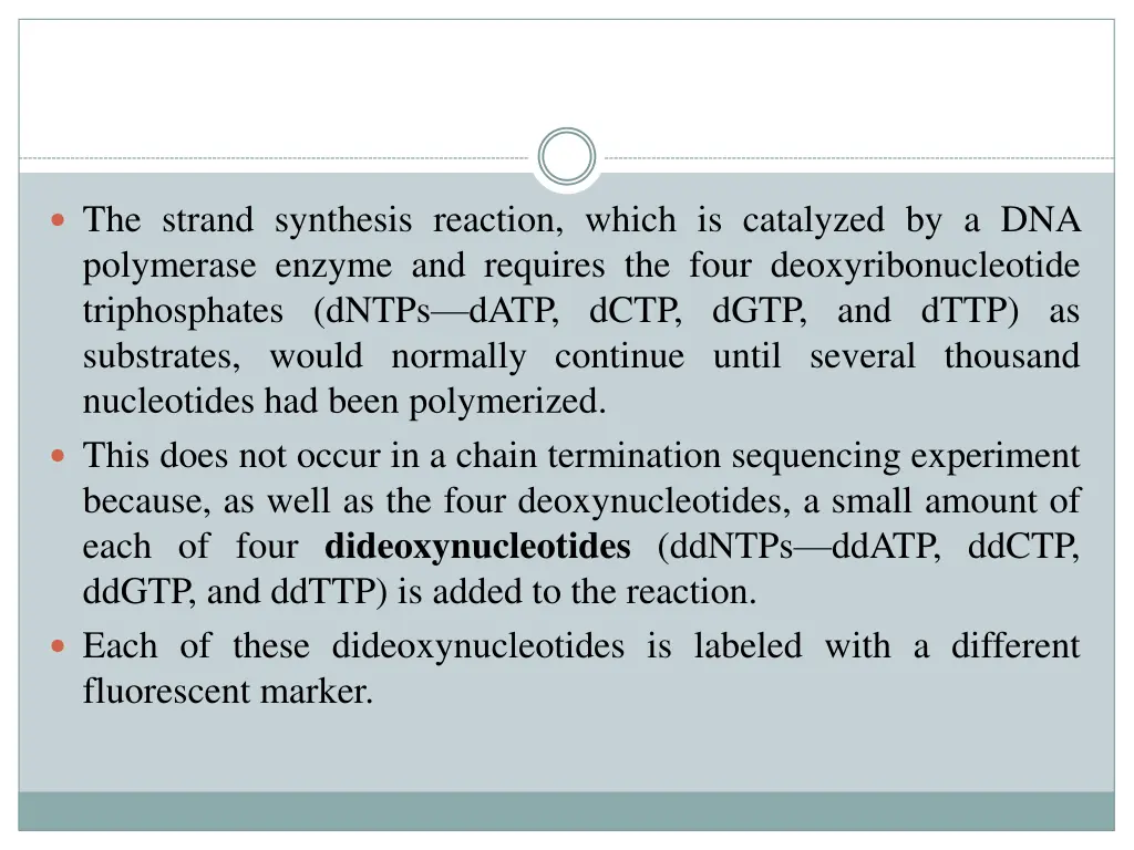 the strand synthesis reaction which is catalyzed