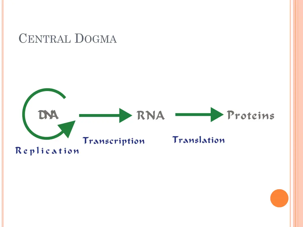c entral d ogma