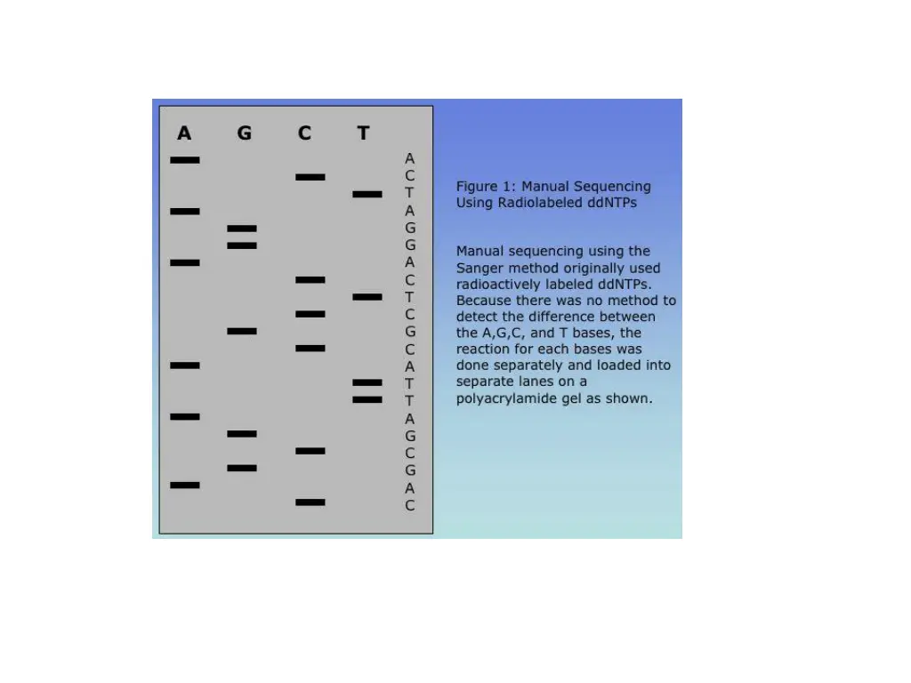 slide5
