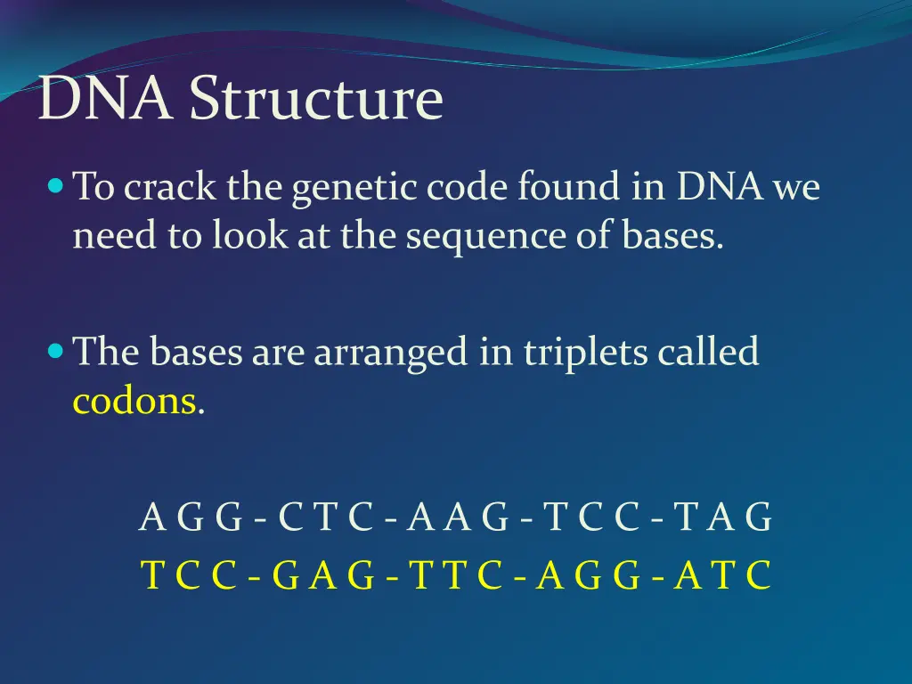 dna structure 2
