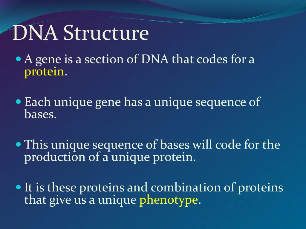 dna structure 3