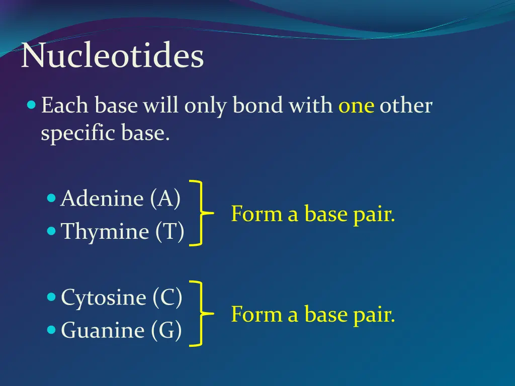 nucleotides 3
