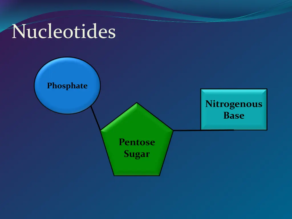nucleotides