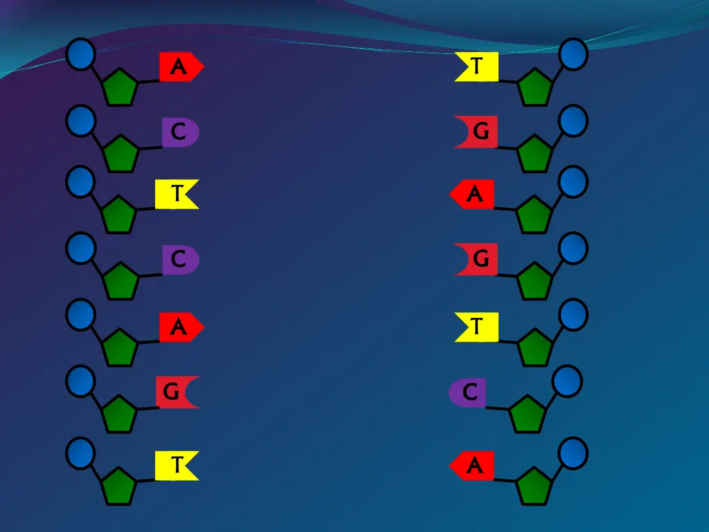 slide8