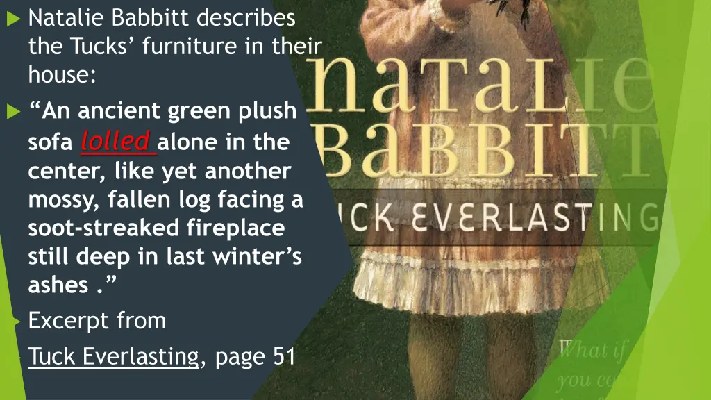natalie babbitt describes the tucks furniture