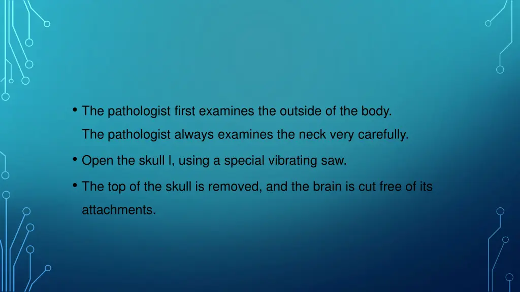 the pathologist first examines the outside