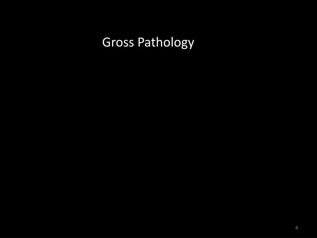 gross pathology